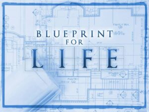 BASIC LIFE BLUEPRINT READING